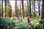 Explore the Forest By Walking, Biking or on Horseback