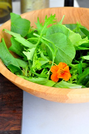 salad