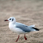 20100822_137_small.JPG