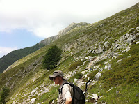 IMG_1380.JPG Photo