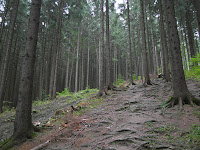 SAM_6314.JPG Photo