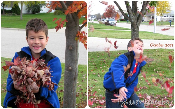 Leaves Oct 2011