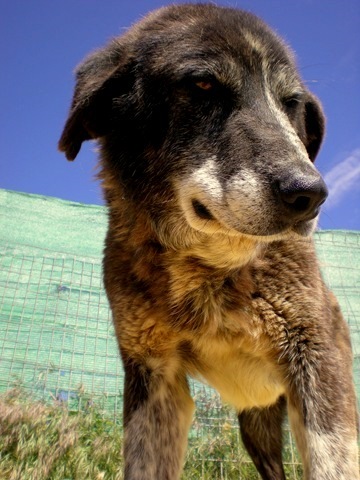 [DSCN5417%255B4%255D%255B21%255D.jpg]