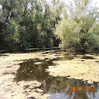 DSCN8324.JPG