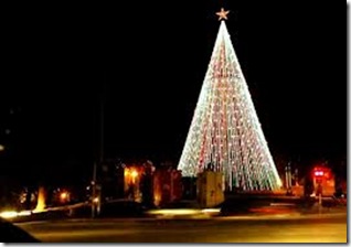 pinonavidad pinonavidad