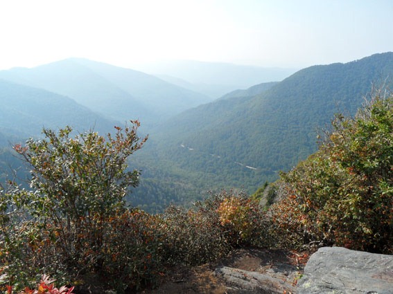[chimney-tops4.jpg]