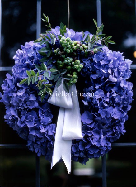 [105_p5-ariella4.jpg]