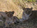 DSCN5825.JPG