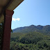 Matagalls des de la galeria