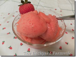 Fresh Strawberry Sorbet- The Backyard Farmwife