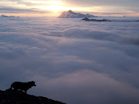Cassidy and morning clouds.