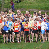 P1020123 (Medium).JPG