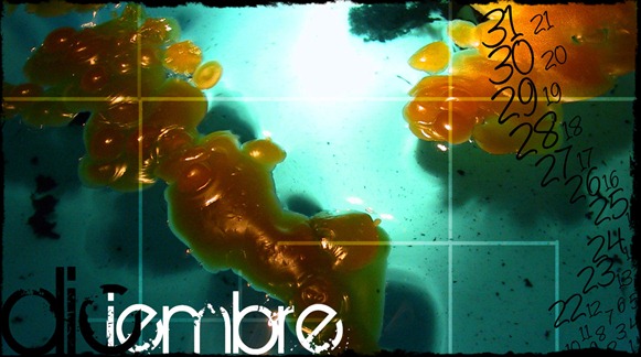 Diciembre Diciembre
