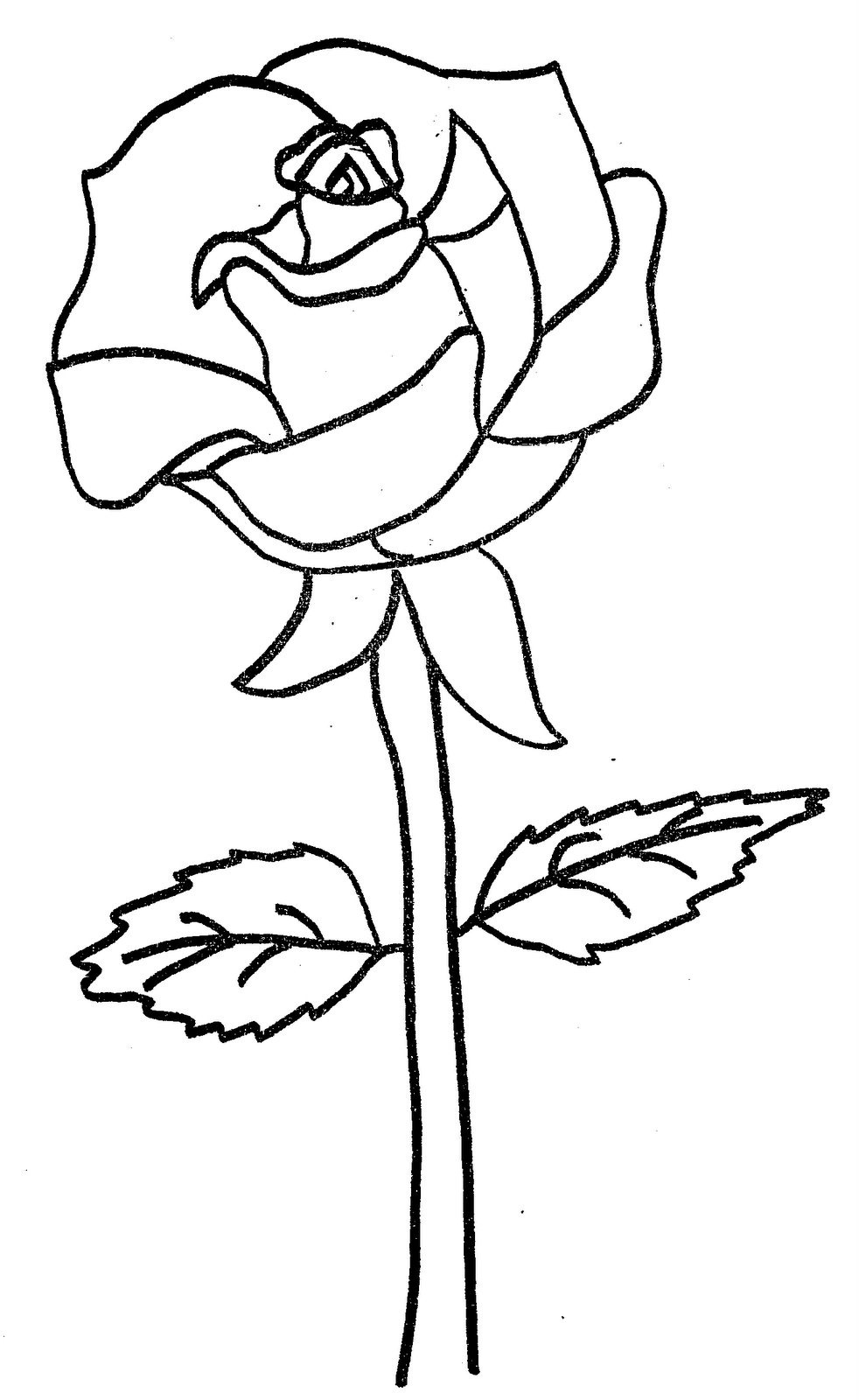 [rosa%255B2%255D.jpg]