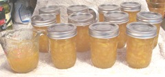 peach jam all done 11 jars