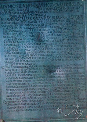 tavola clesiana img235