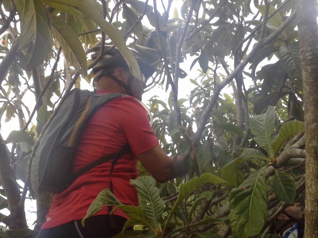 [20130619_193245%255B4%255D.jpg]