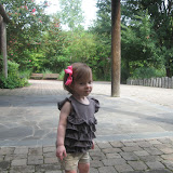 IMG_1752.jpg