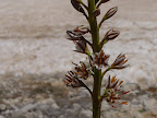 p1269762887(7).jpg