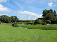 IMG_2371.JPG