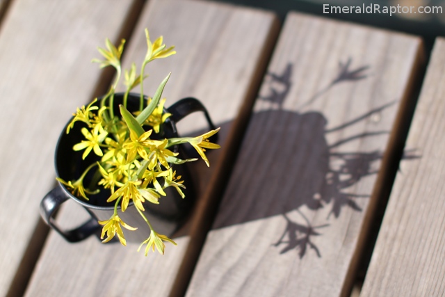 Vårblomster i tutekopp