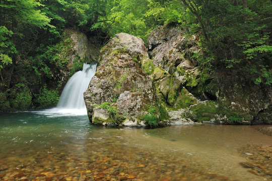 鳴滝