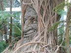 The cool creepy tree face thing at the Bellagio Conservatory and Botanical Garden.