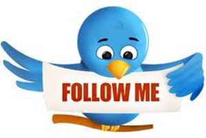 followers twitter
