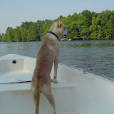 Sam navigates.