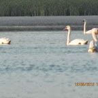 IMG_7901.JPG