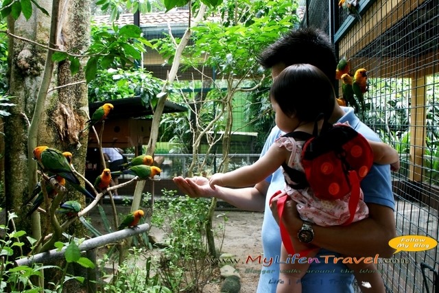 Langkawi Wildlife Park Langkawi Wildlife Park