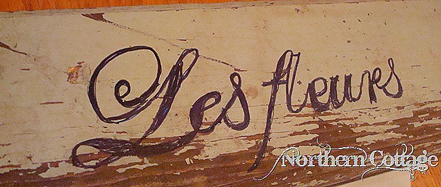 [home-0146.jpg]
