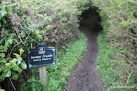 IMG_7993.JPG Photo