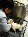 Look!  She's in the laundry cart!