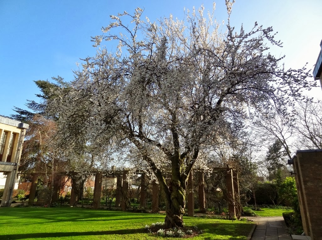 [DSC03659%2520%25281300x973%2529%255B6%255D.jpg]