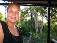 Giraffe - Linyanti Concession (Chobe Region)