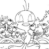 COLOREAR A PIOLIN - DIBUJOS PARA PINTAR Y COLOREAR A PIOLIN