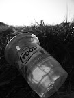 P1030015.JPG