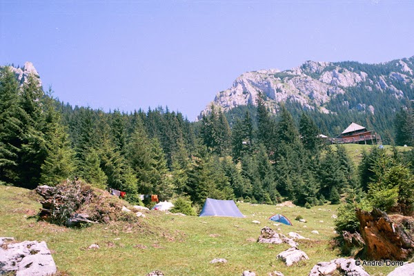 00346.jpg 00346.jpg