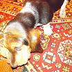 DSCN2494.JPG