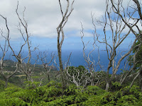 Waihe'e Ridge.