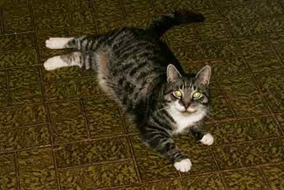 [IMG_5577%255B4%255D.jpg]