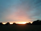 IMG_20120111_070816.jpg