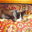 DSCN2475.JPG