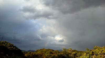 2013-11-19 07.53.14.jpg