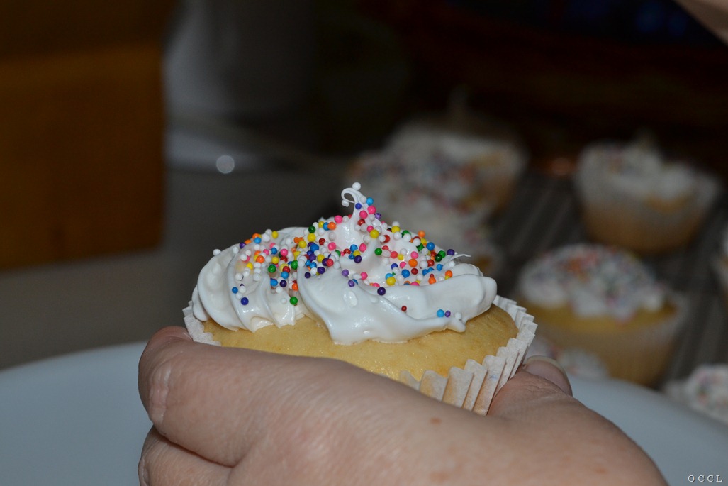 [DSC_24243.jpg]