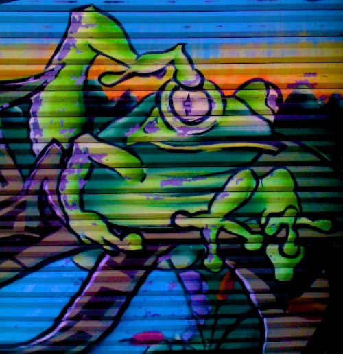 Close up of a frog in garage door graffiti