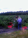 IMG0017A.jpg