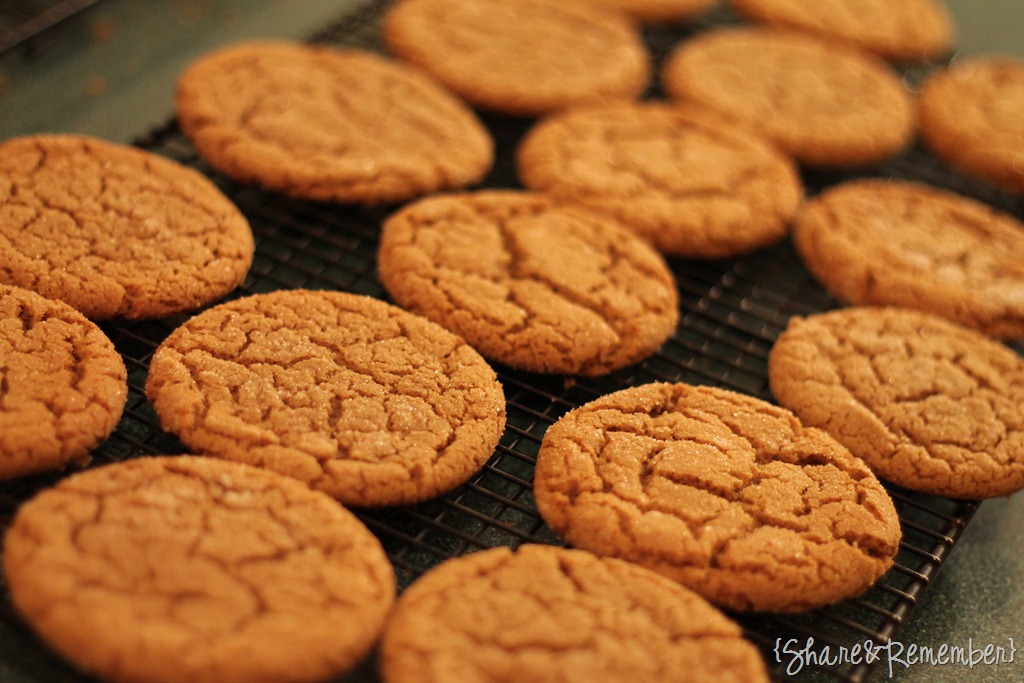 [gingersnaps-23.jpg]