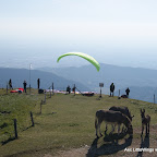 DSC01873.JPG